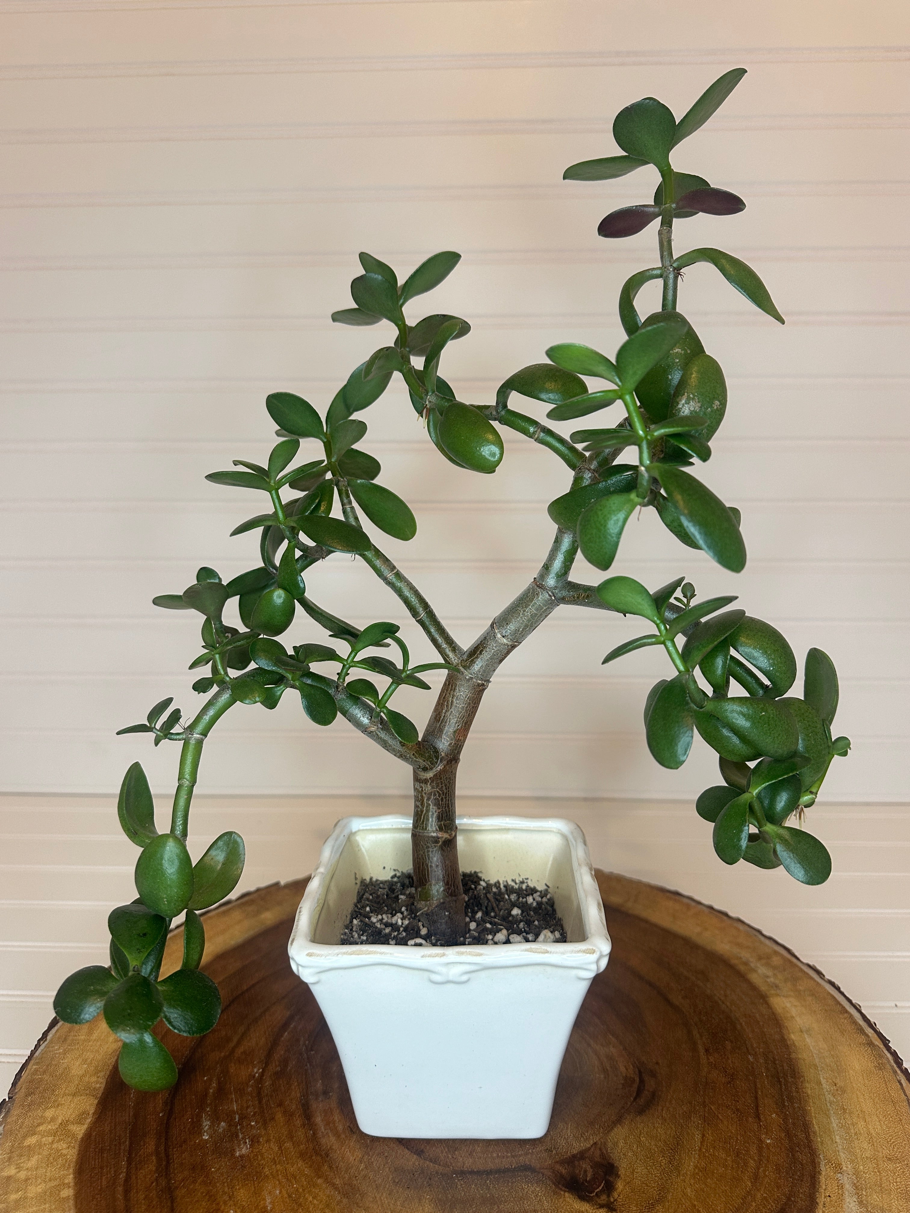 Jade