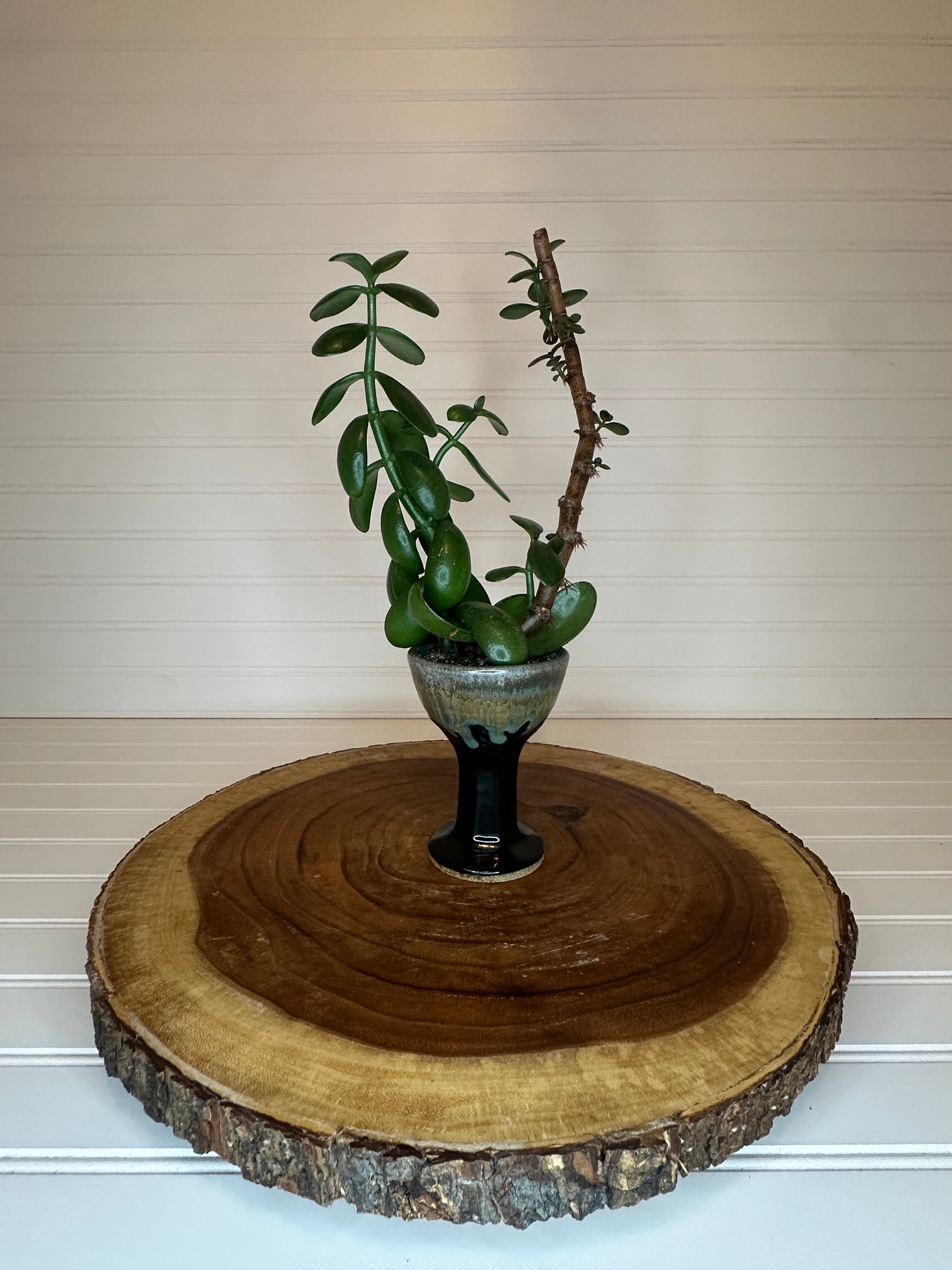 Jade Bonsai in Vintage Pottery Goblet