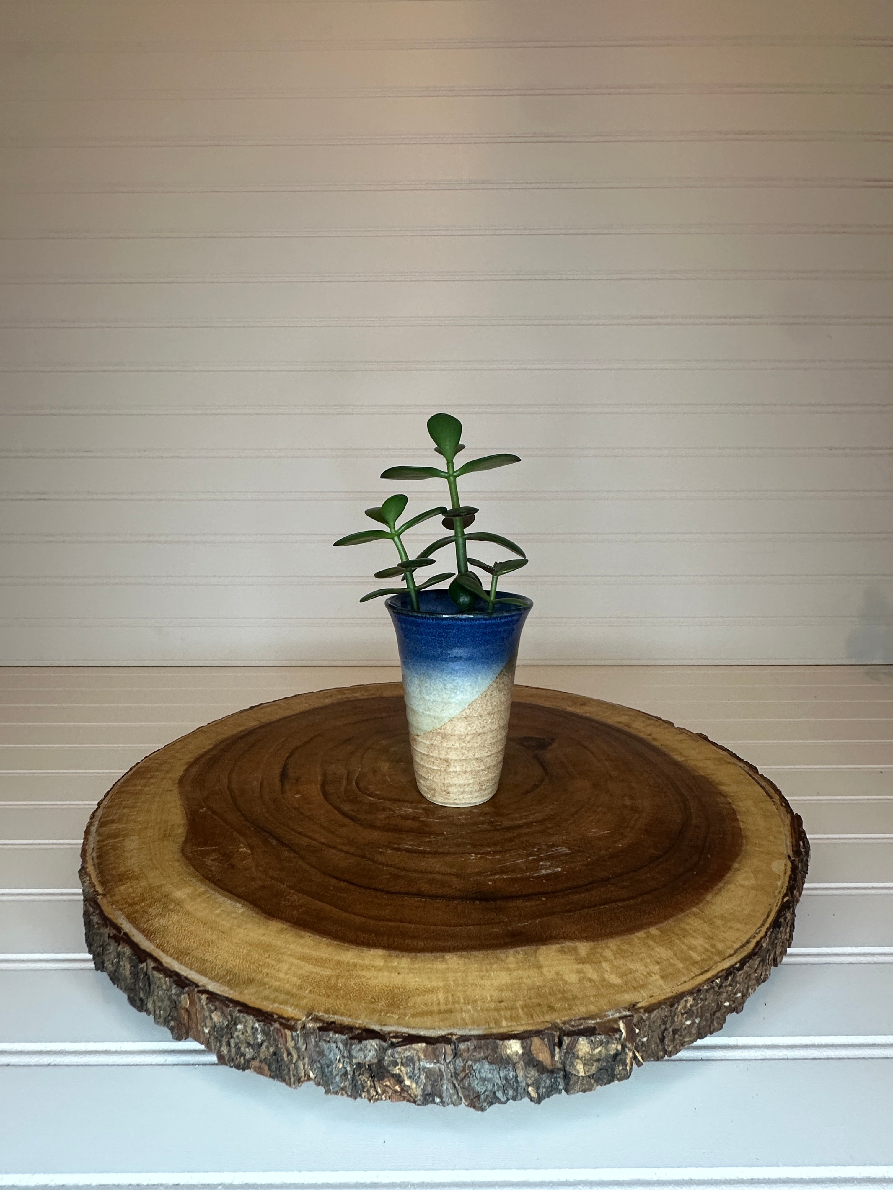 Jade Group in Vintage Ceramic