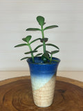 Jade Group in Vintage Ceramic