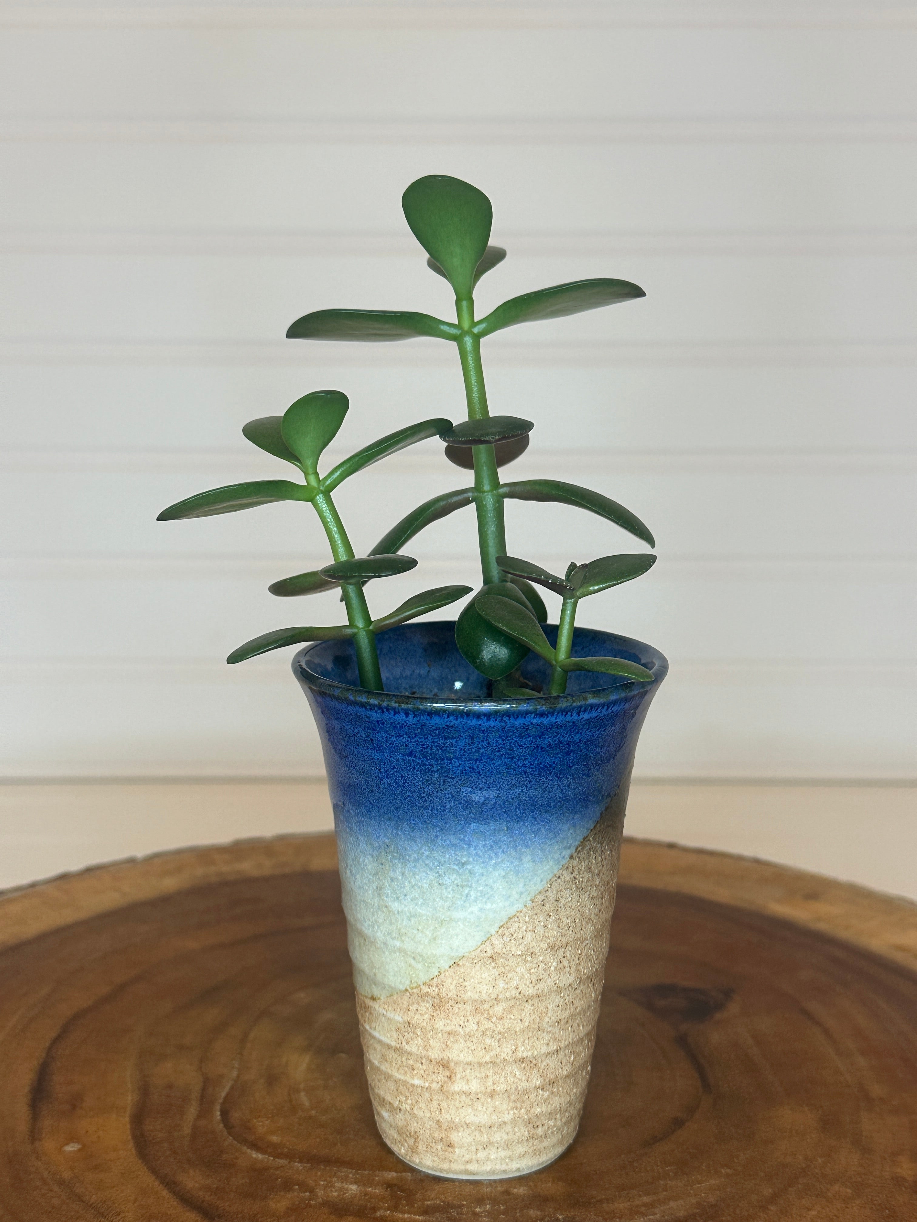 Jade Group in Vintage Ceramic