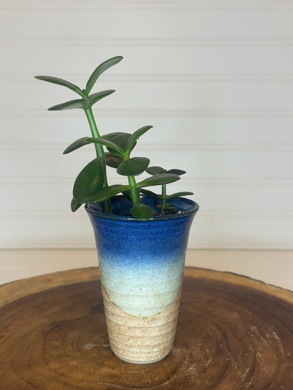 Jade Group in Vintage Ceramic