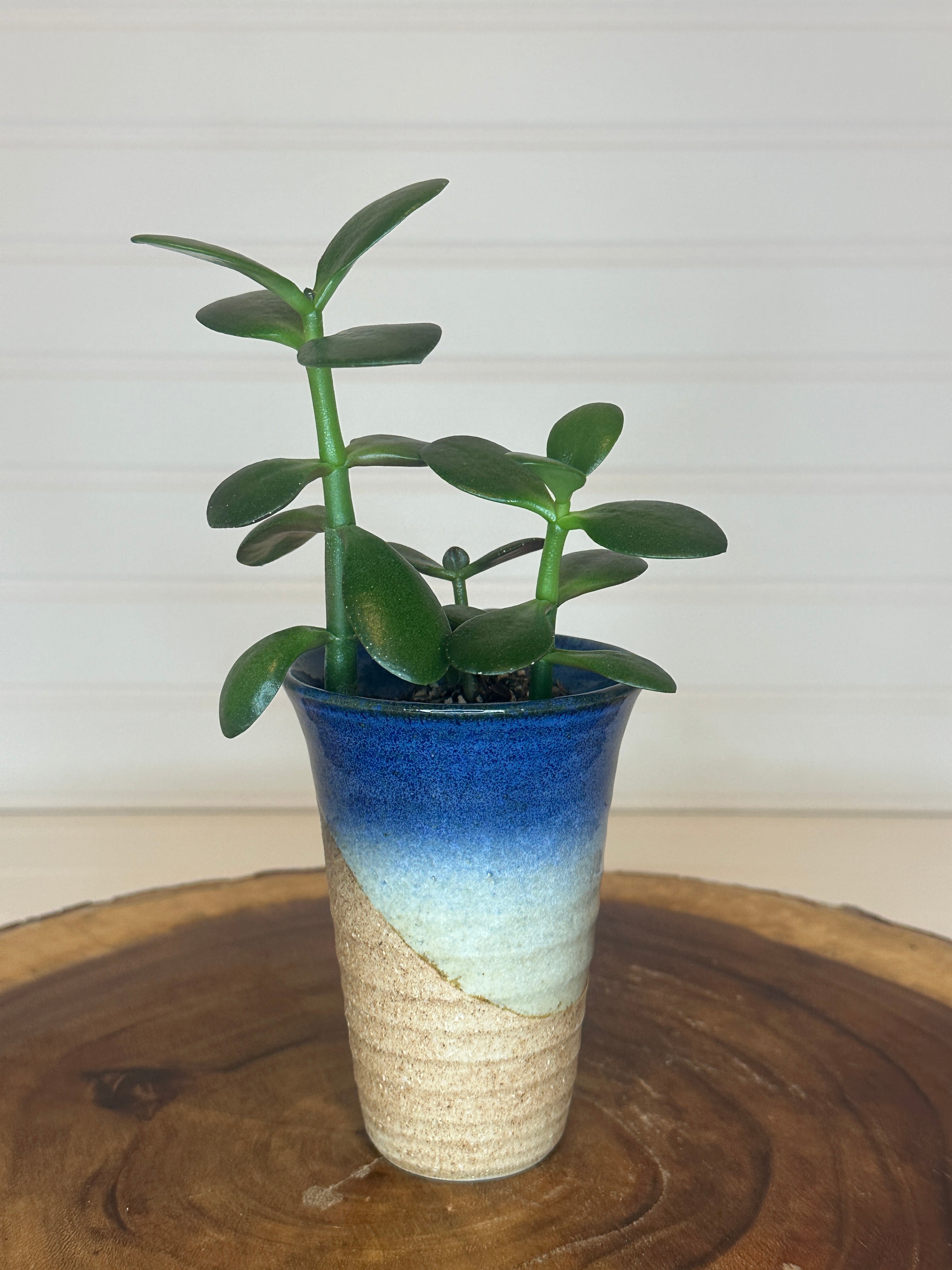 Jade Group in Vintage Ceramic