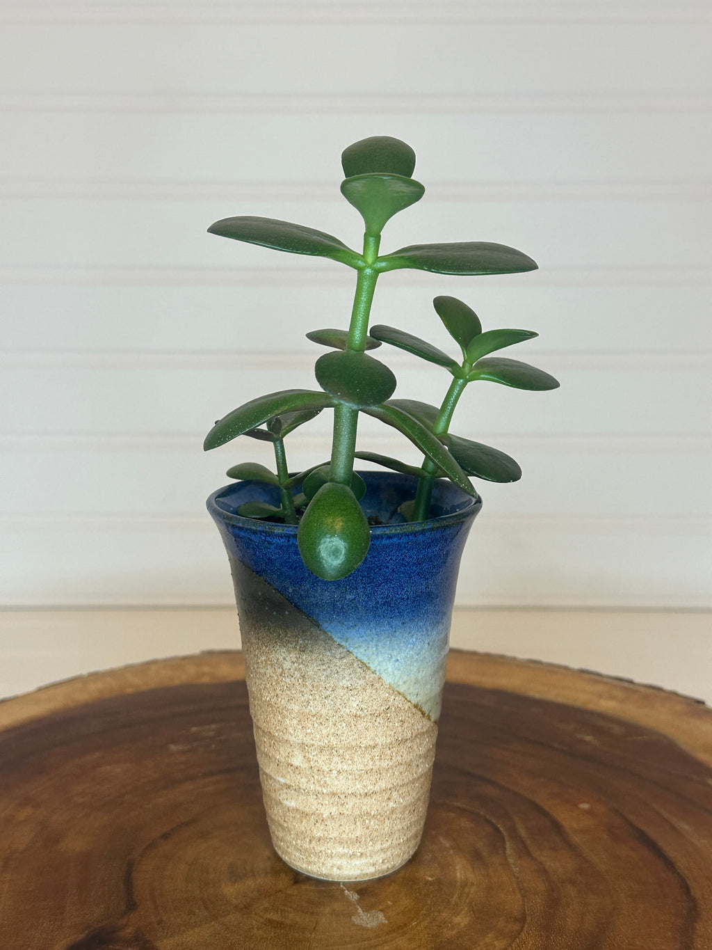 Jade Group in Vintage Ceramic