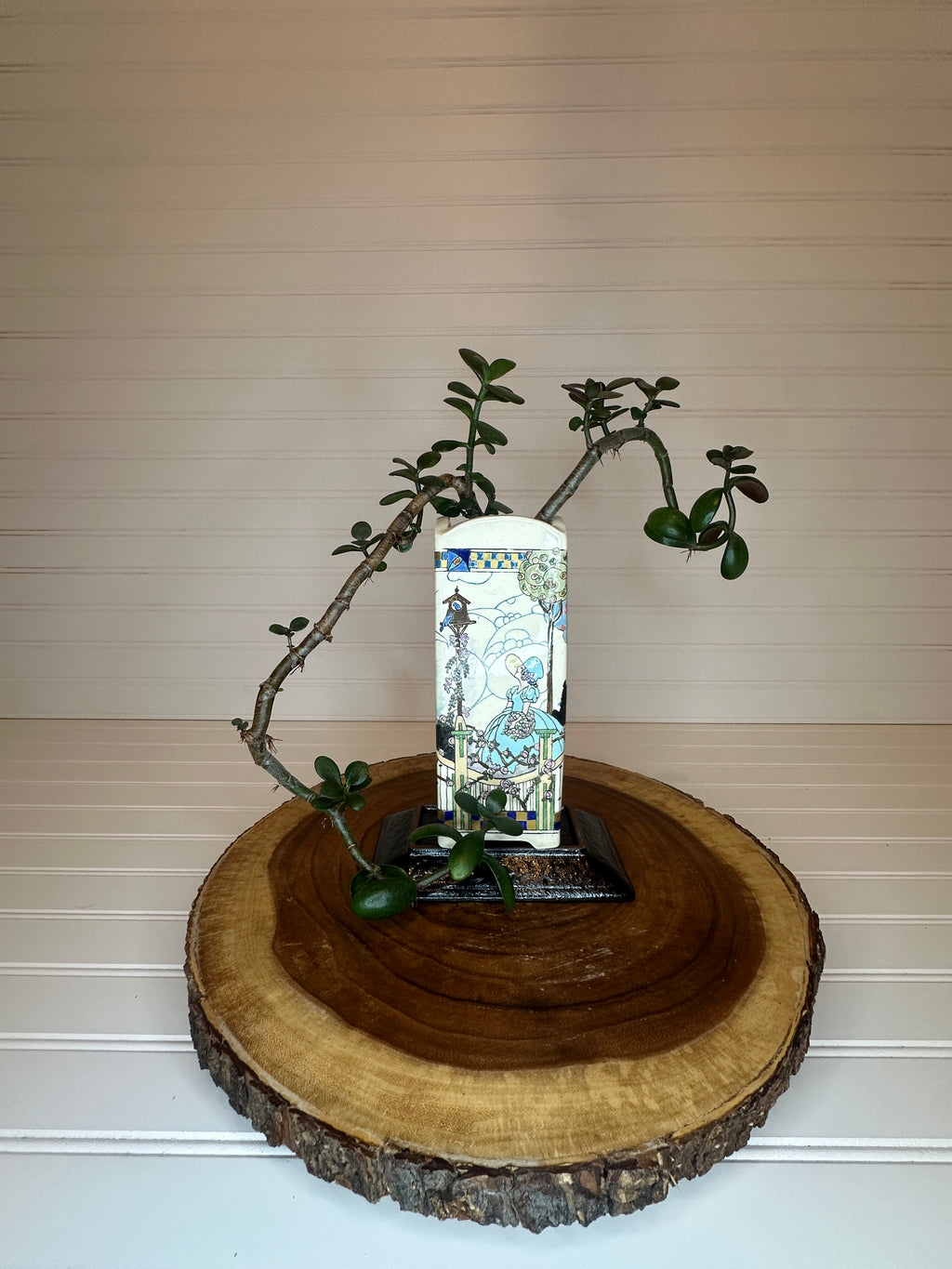 Crazy Legs Jade Bonsai in Art Nouveau Vintage Ceramic