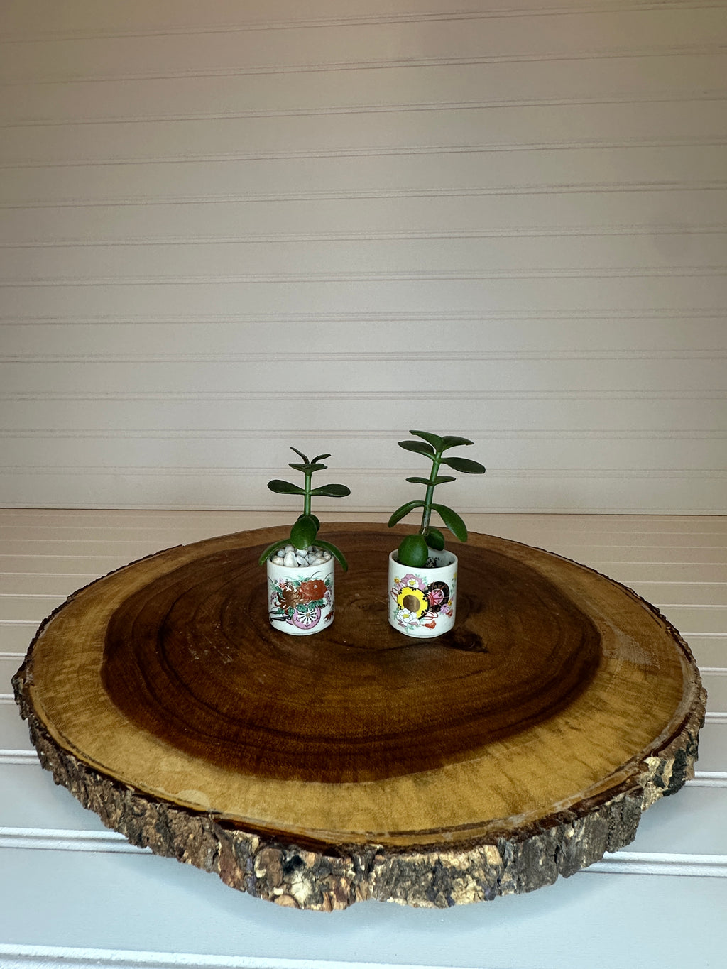 Jade Pair in Vintage Asian Pottery