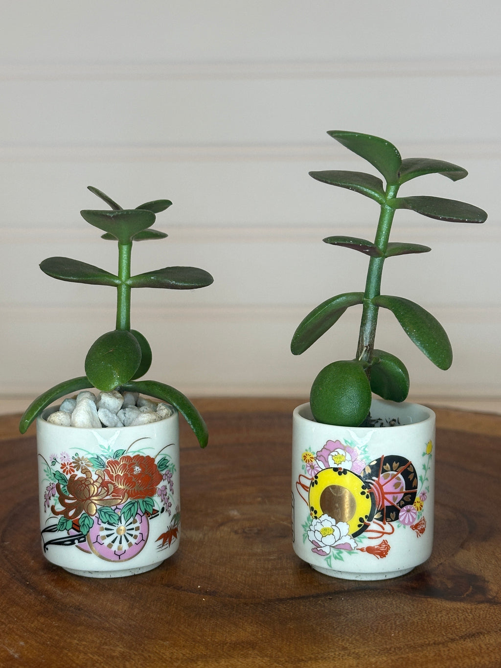Jade Pair in Vintage Asian Pottery