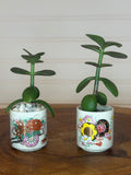 Jade Pair in Vintage Asian Pottery