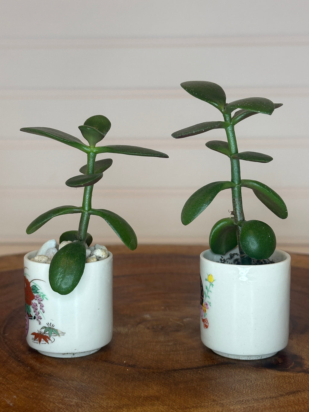 Jade Pair in Vintage Asian Pottery
