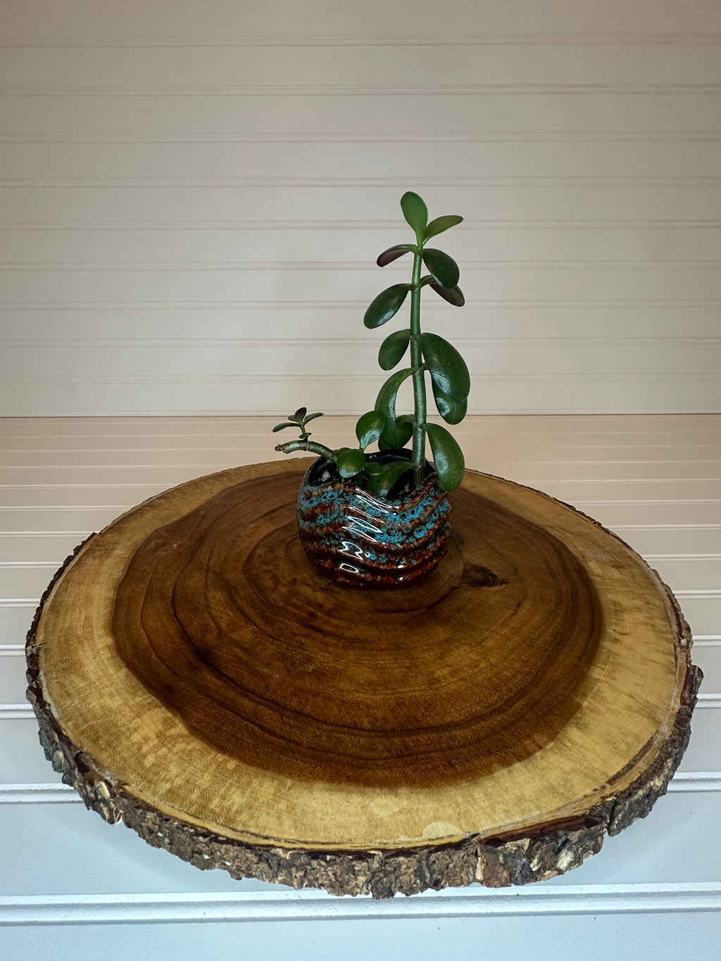 Jade in Vintage Artistic Pottery