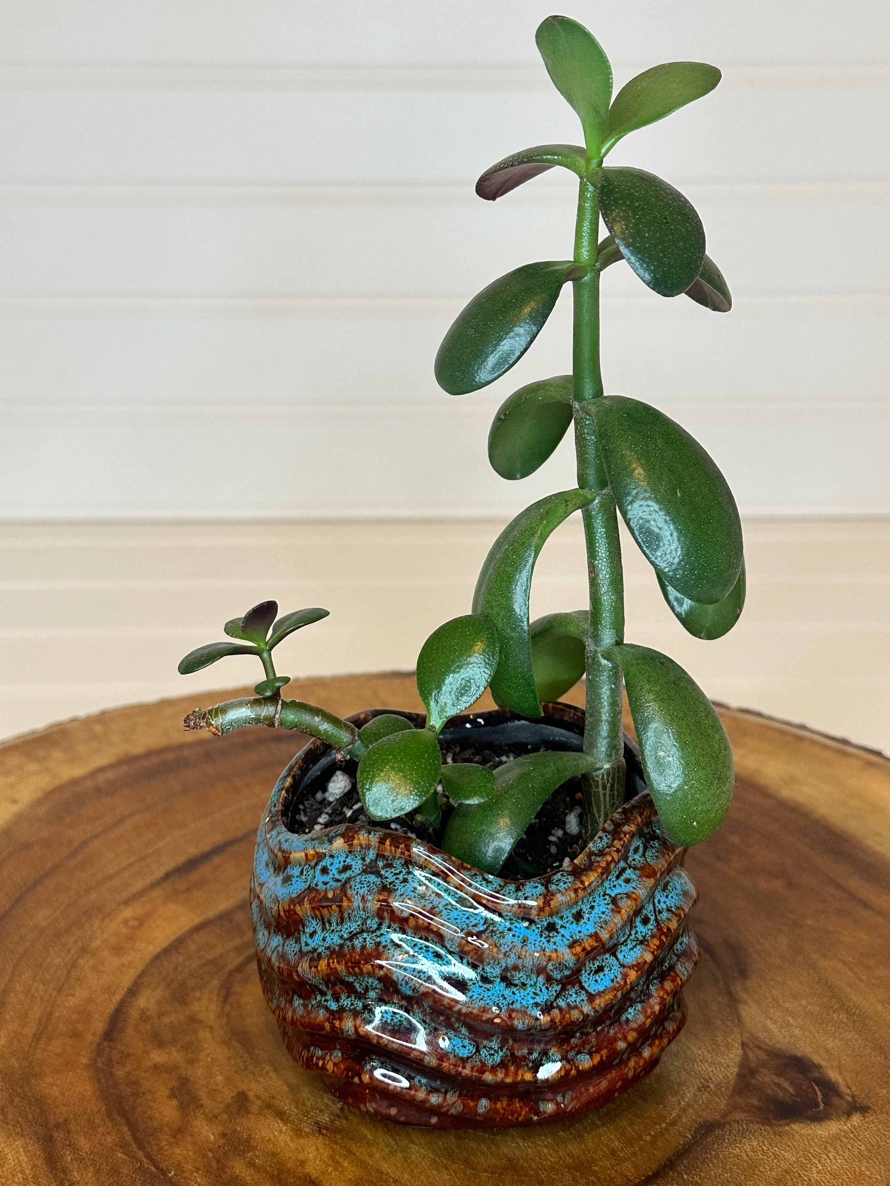 Jade in Vintage Artistic Pottery