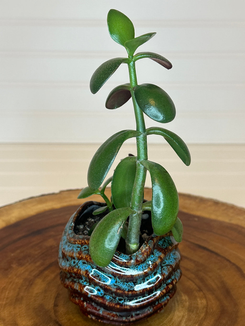 Jade in Vintage Artistic Pottery