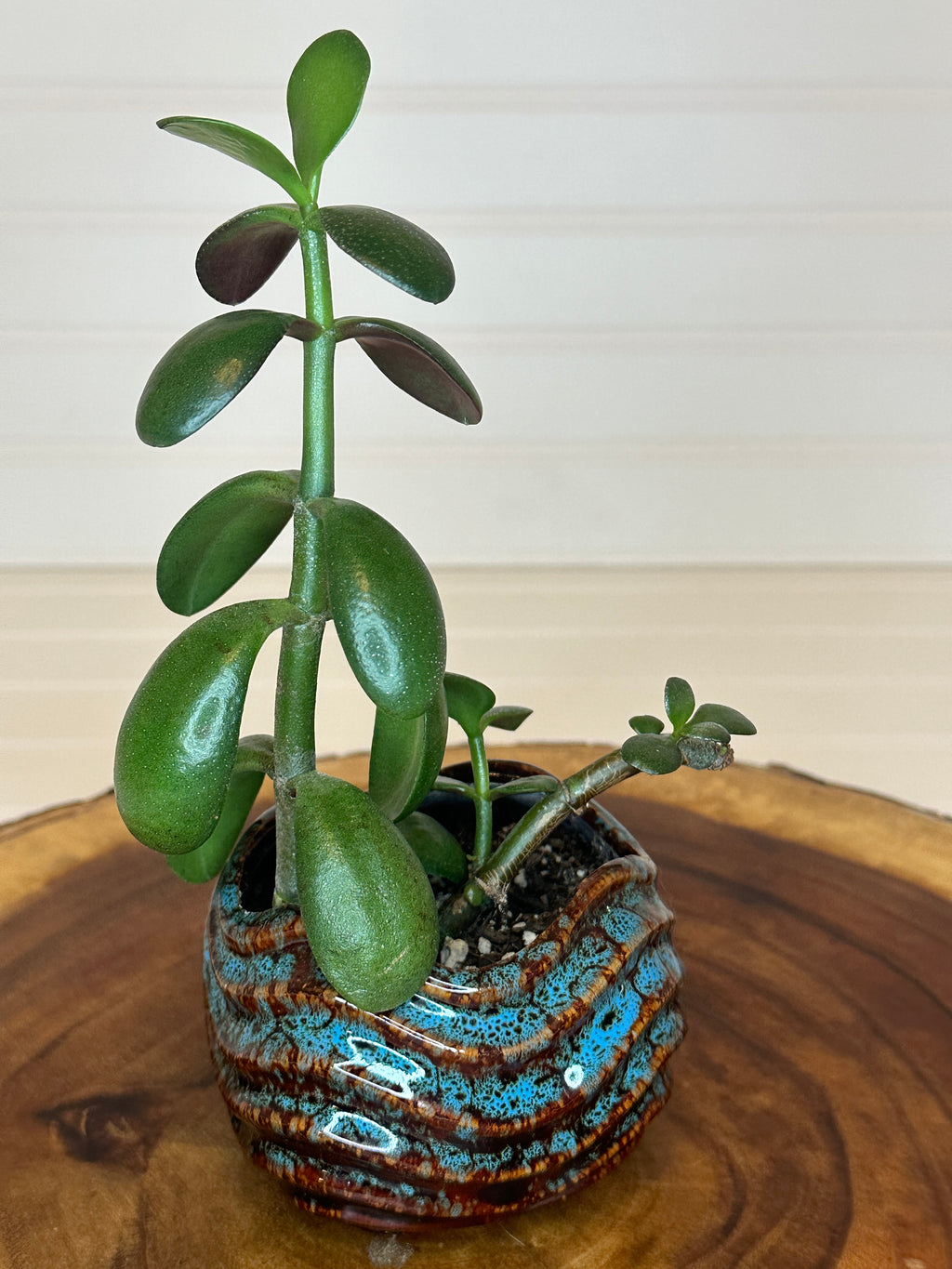 Jade in Vintage Artistic Pottery
