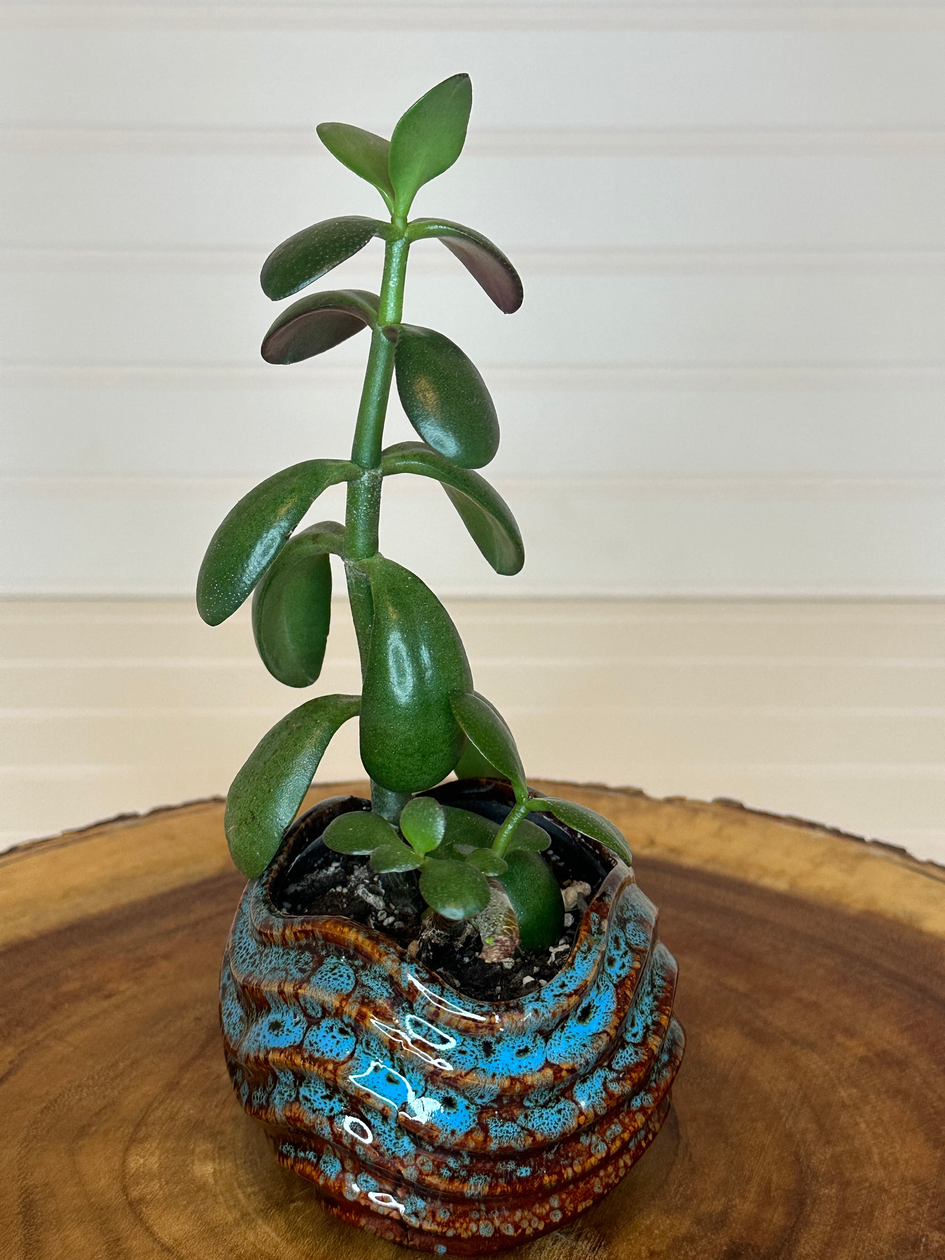 Jade in Vintage Artistic Pottery
