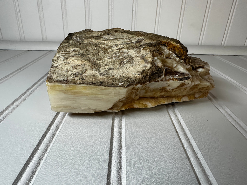 Petrified Wood Cut & Rough