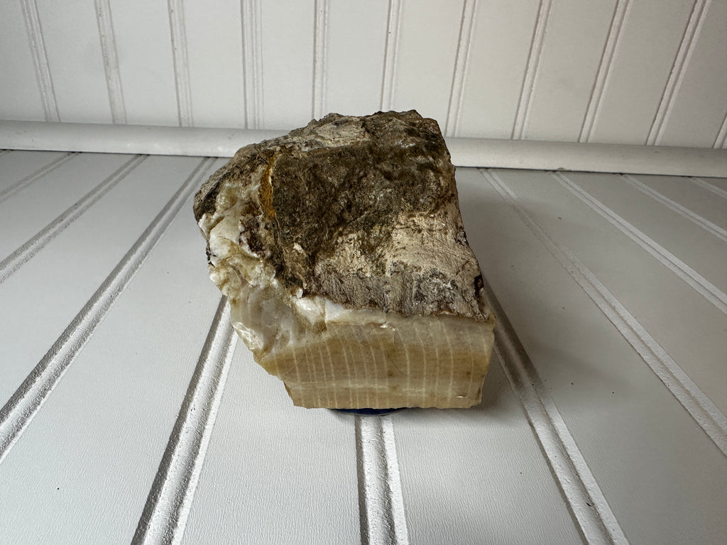 Petrified Wood Cut & Rough