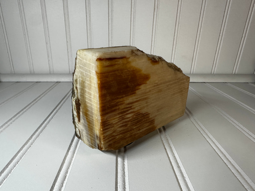 Petrified Wood Cut & Rough