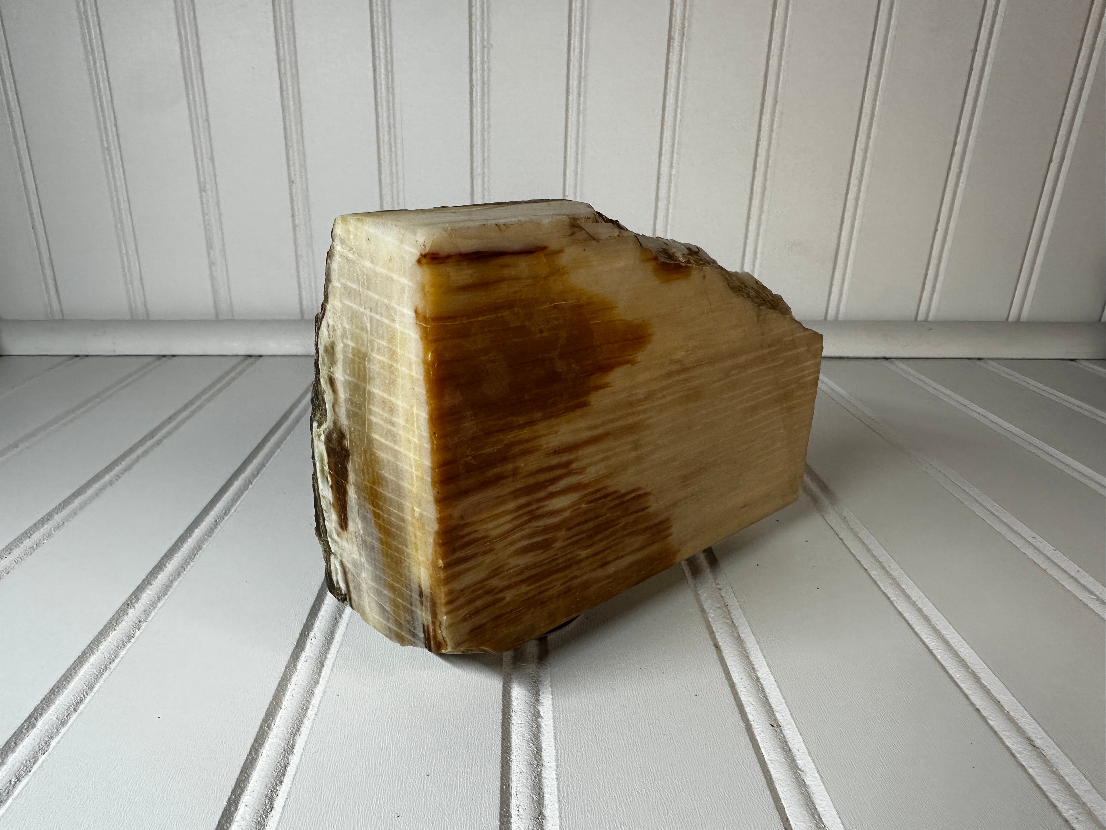 Petrified Wood Cut & Rough