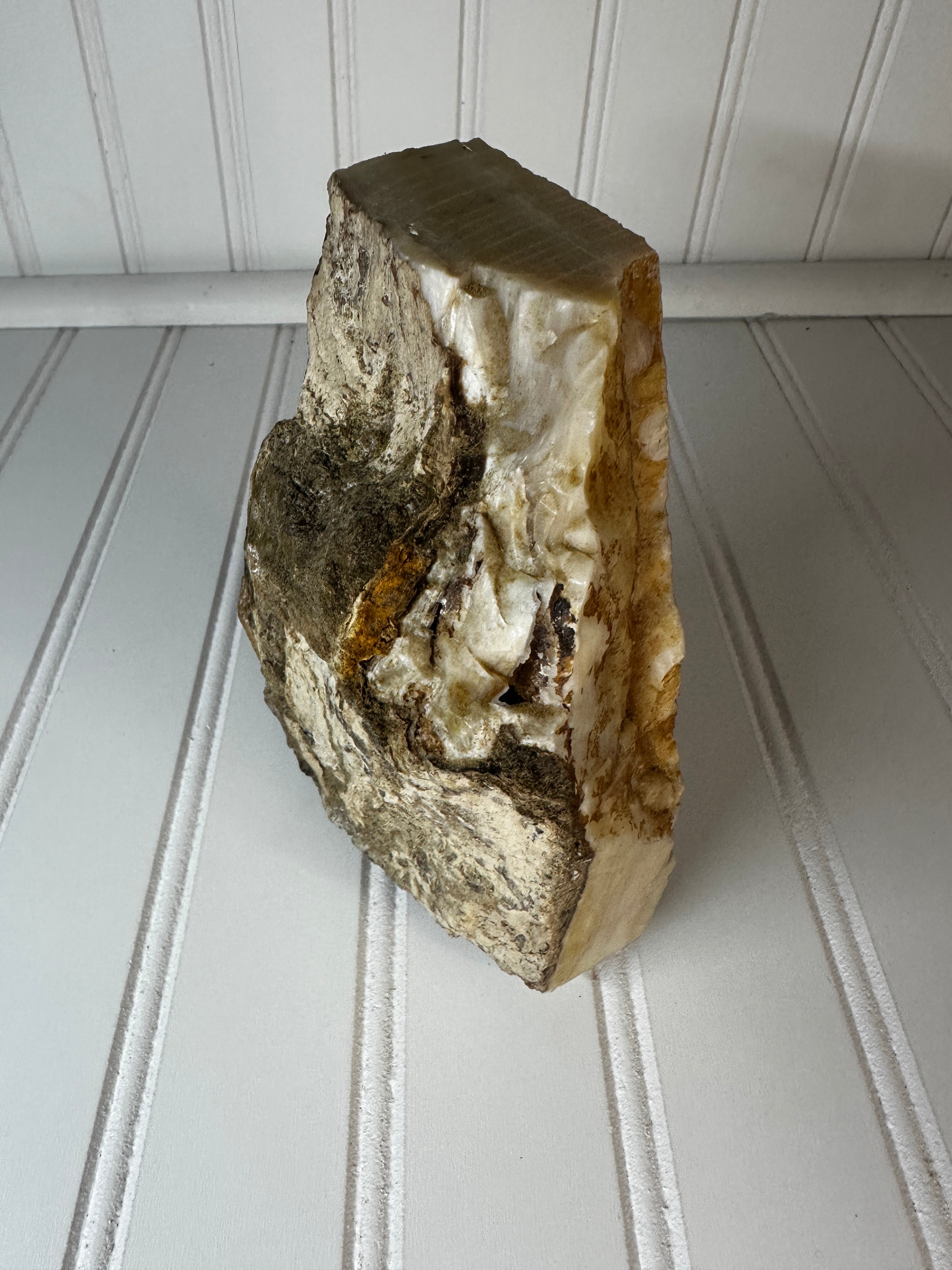 Petrified Wood Cut & Rough