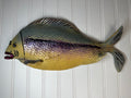 1980's Ceramic Fish Decor - Tacoma Artist
