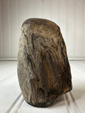 Petrified Wood Standing Specimen