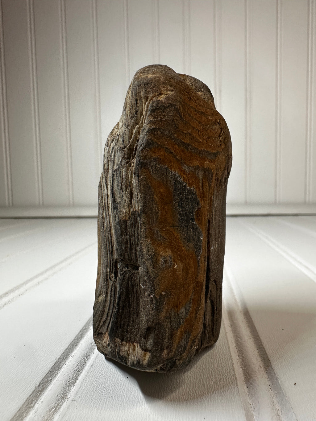 Petrified Wood Standing Specimen