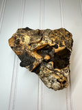 WA Limb Cast with Agate/ Chalcedony Filling