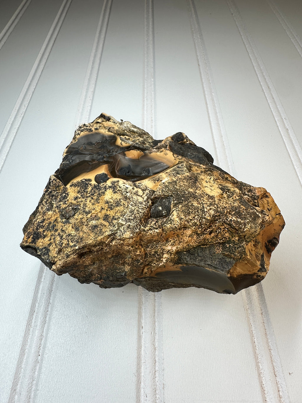 WA Limb Cast with Agate/ Chalcedony Filling