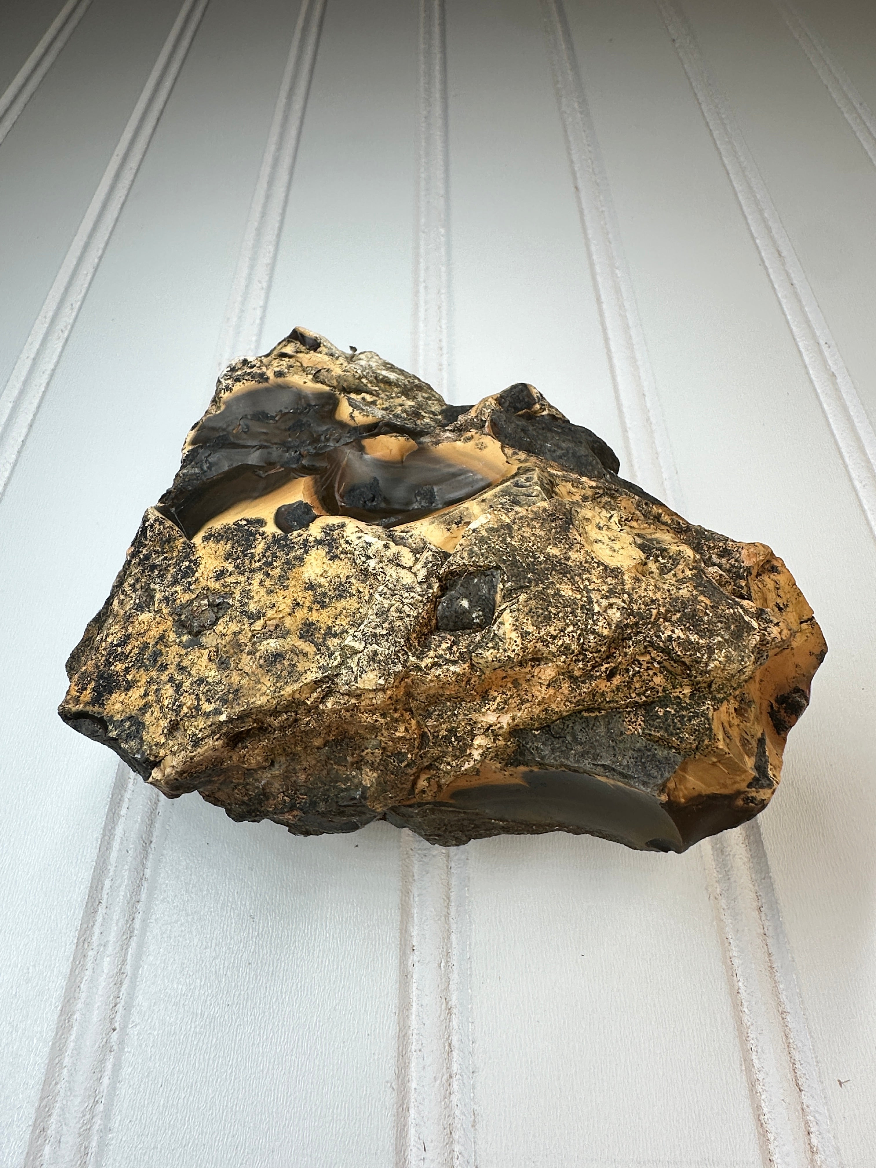 WA Limb Cast with Agate/ Chalcedony Filling