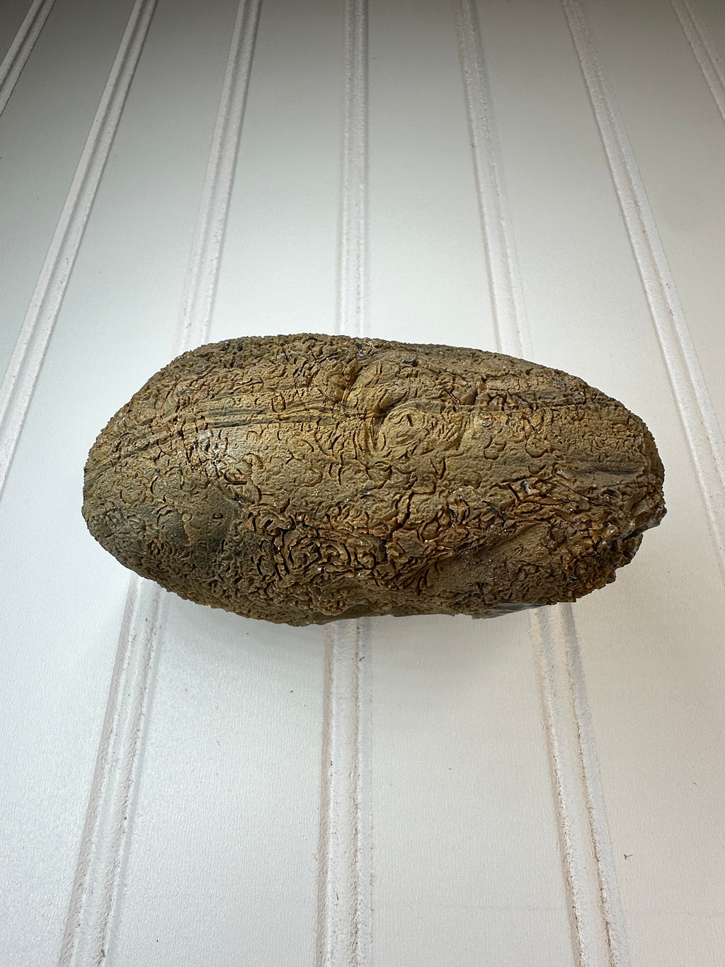 Chert Nodule