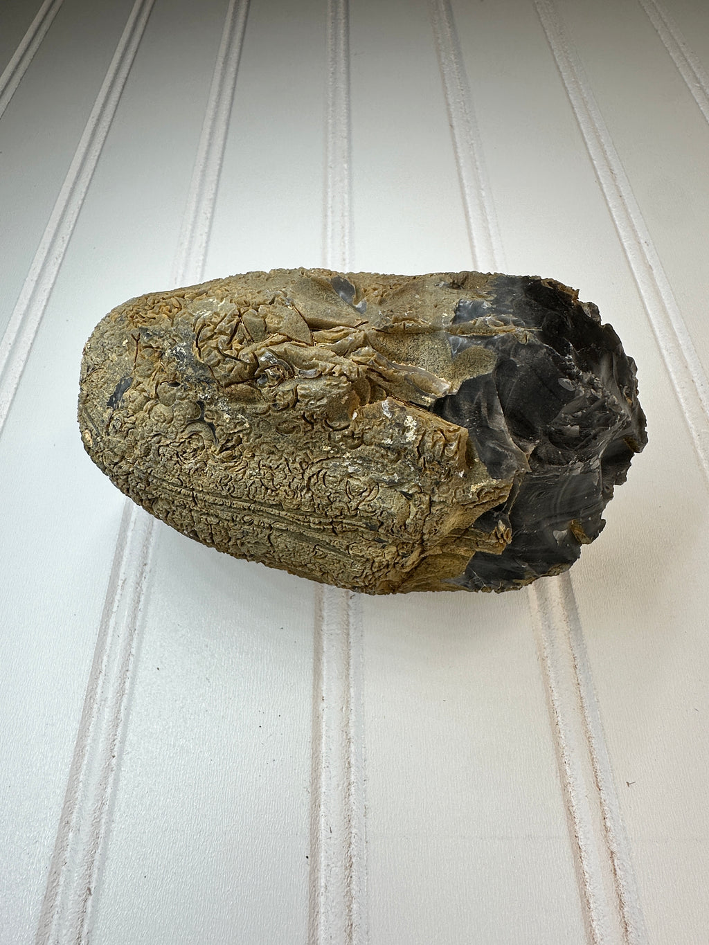 Chert Nodule