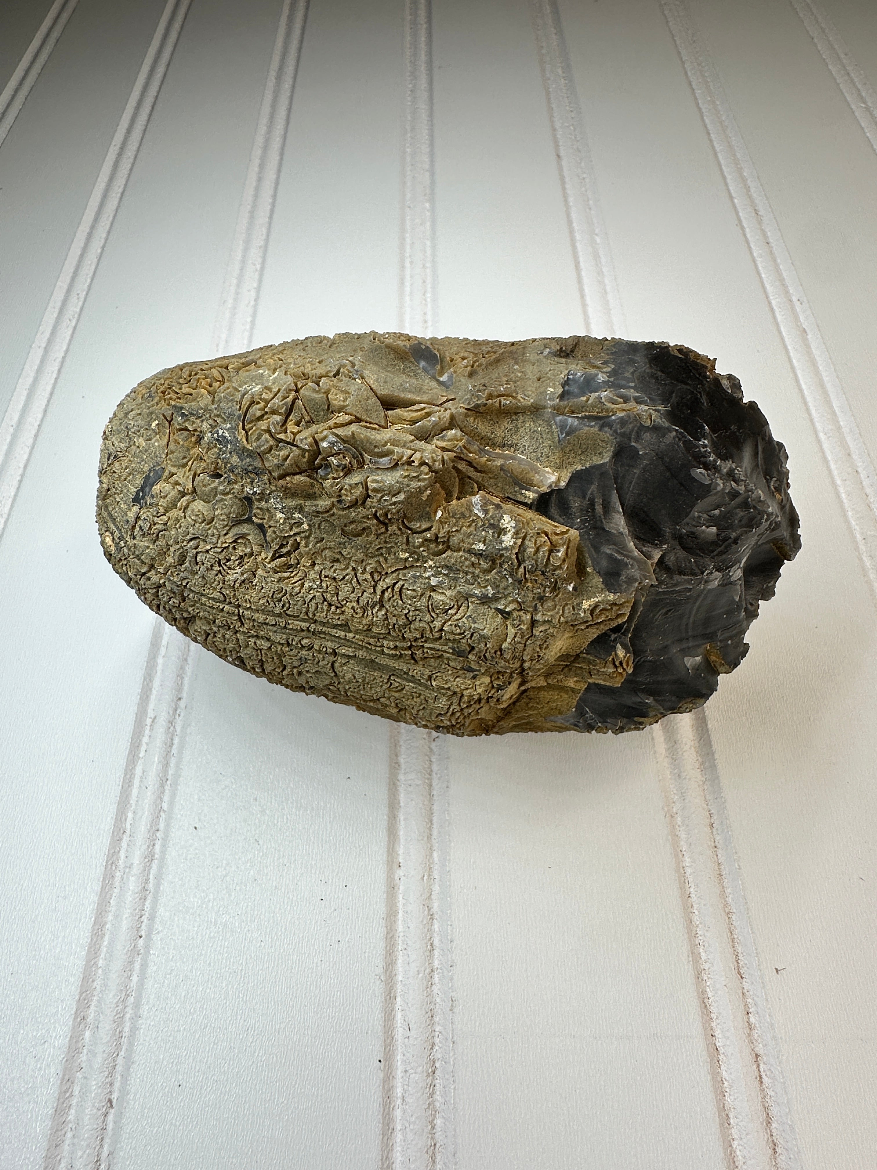 Chert Nodule