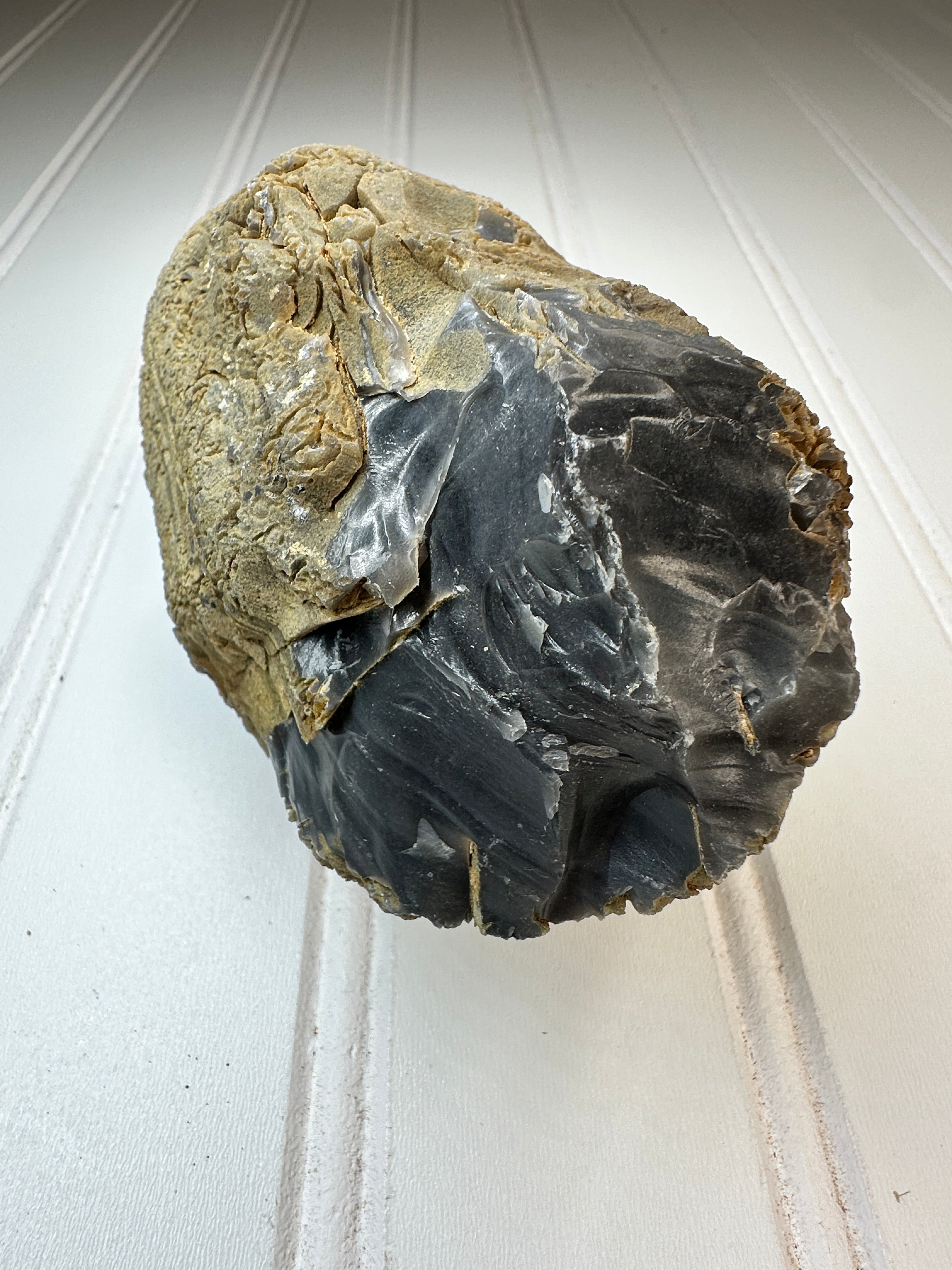 Chert Nodule