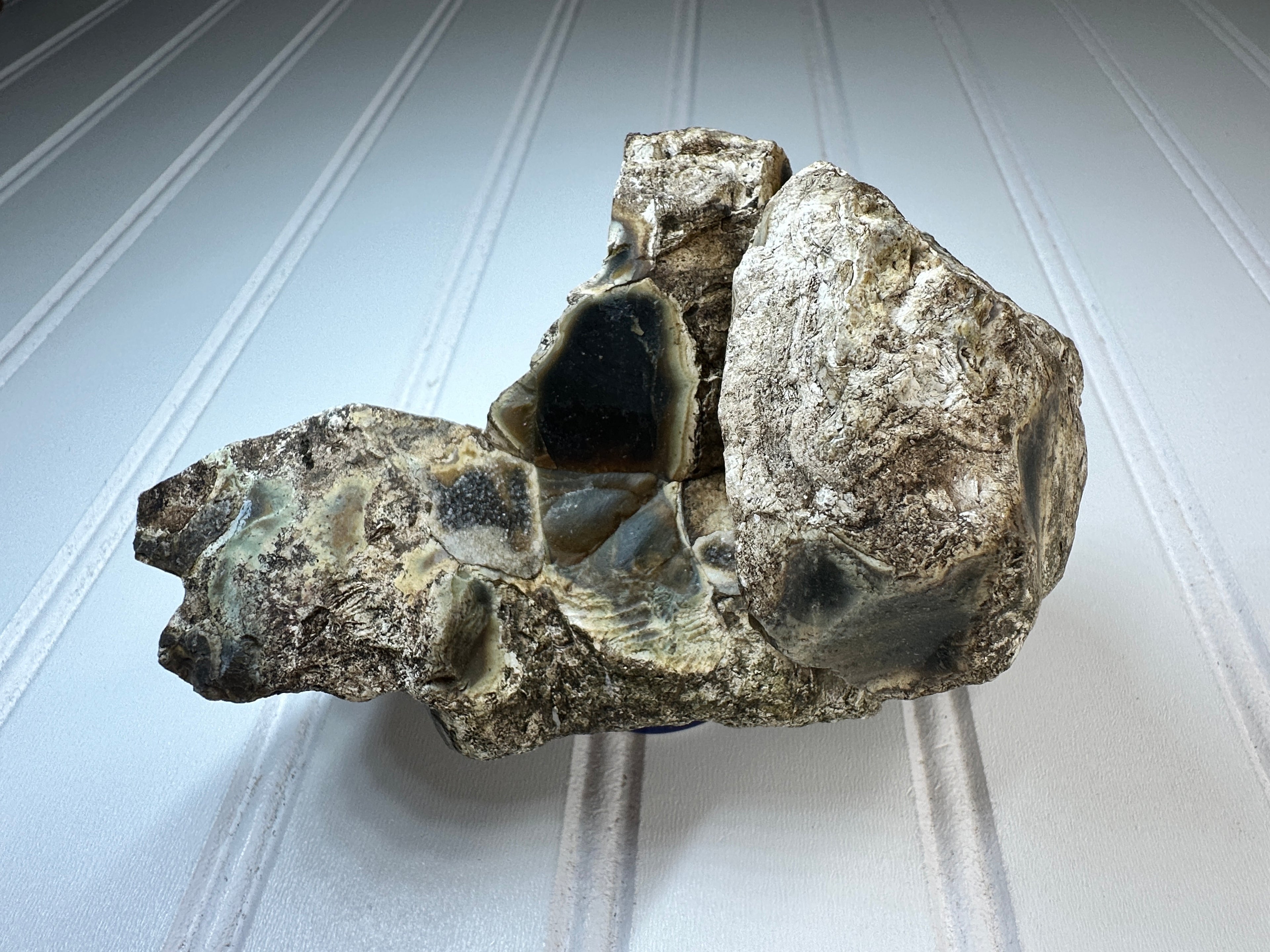 Petrified Agatized Wood