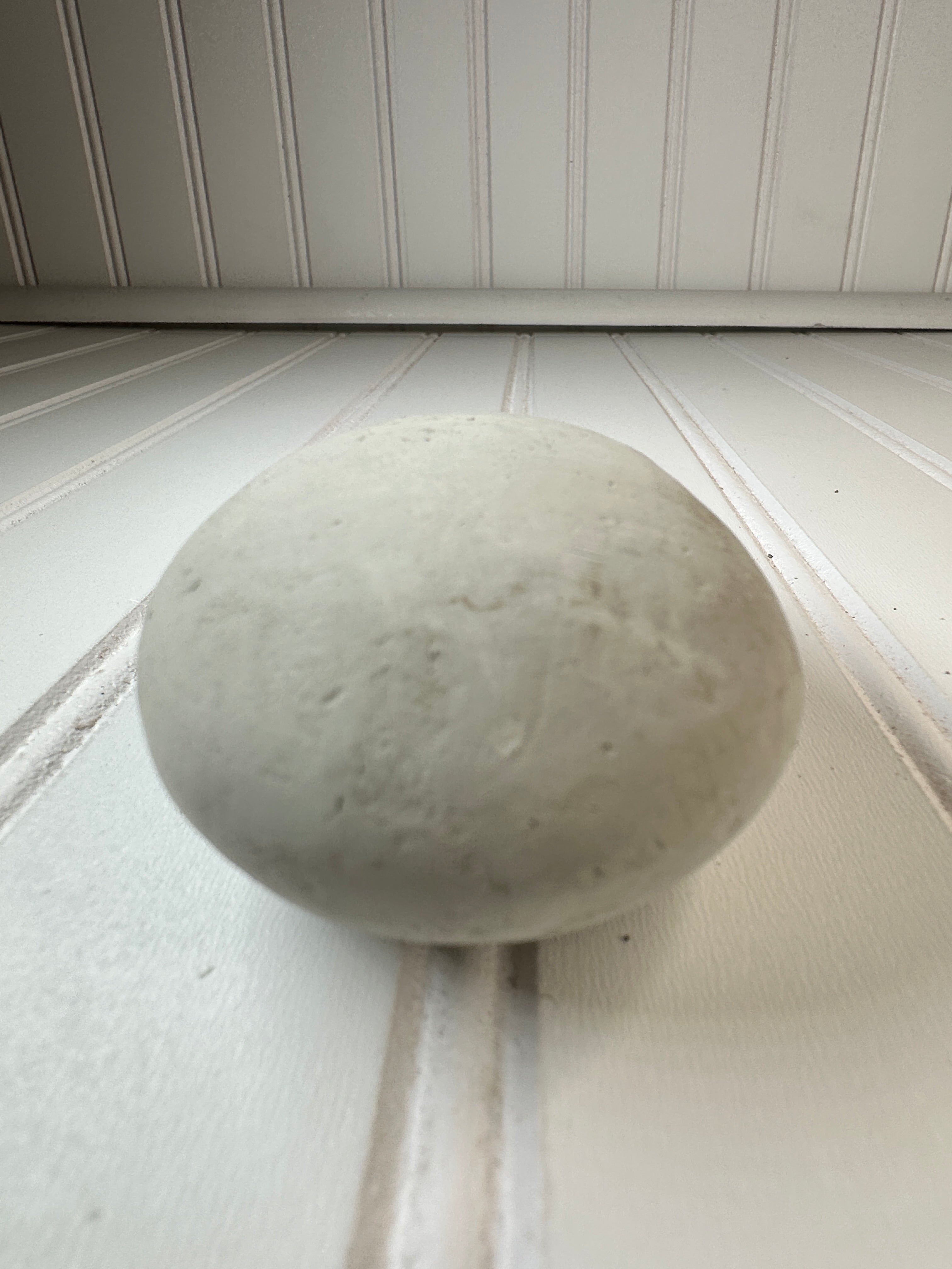 Oval Clay Concretion